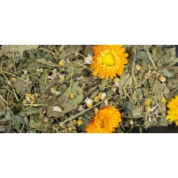 JR FARM ZIOŁA ŁĄKOWE rumianek i mniszek 100G 16127