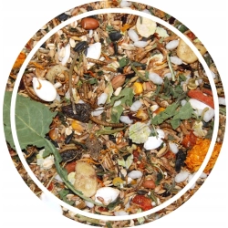 MIXERAMA FAIRYTALE EXTRA 500G podstawowa karma dla chomików syryjskich