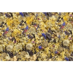 JR FARM OGRÓD KWIATOWY dla SZYNSZYLI 50G płatki i kwiaty