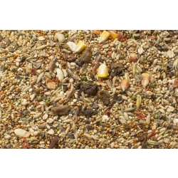 JR FARM UCZTA dla CHOMIKA 600g 13678