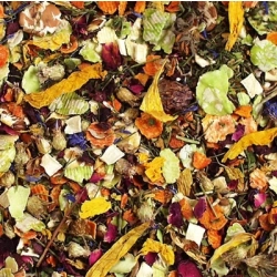 JR FARM PRZYSMAK KARMA DLA KOSZATNICZEK 100g