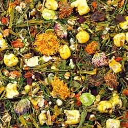 JR FARM KARMA SPECJAŁ KOSZATNICZKI 500g