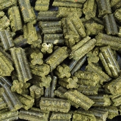 JR FARM GRAINLESS COMPLETE ŚWINKA JUNIOR 1KG 16138