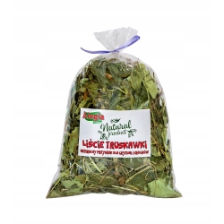 ALEGIA suszone LIŚCIE TRUSKAWKI TRUSKAWKA 90g