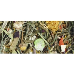 NATURAL-VIT KORONA NATURY POKARM KOSZATNICZKA 750G