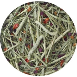 VERSELE LAGA Timothy Hay siano tymotkowe 1kg