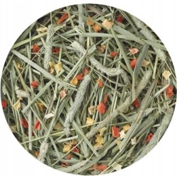 VERSELE LAGA THIMOTHY HAY siano tymotkowe marchewka i dynia 500g